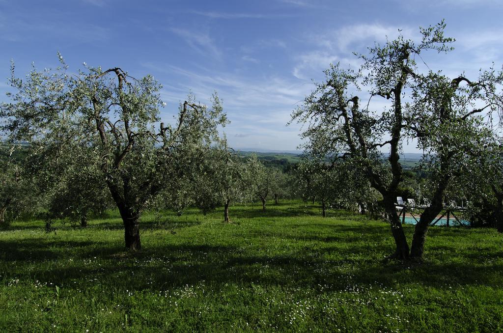 Agriturismo Poggio Bonelli Castelnuovo Berardenga Extérieur photo