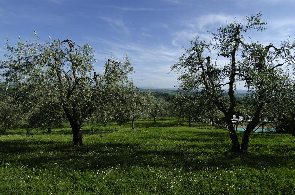 Villa Agriturismo Poggio Bonelli à Castelnuovo Berardenga Extérieur photo