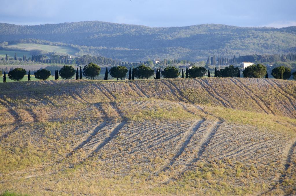 Agriturismo Poggio Bonelli Castelnuovo Berardenga Extérieur photo