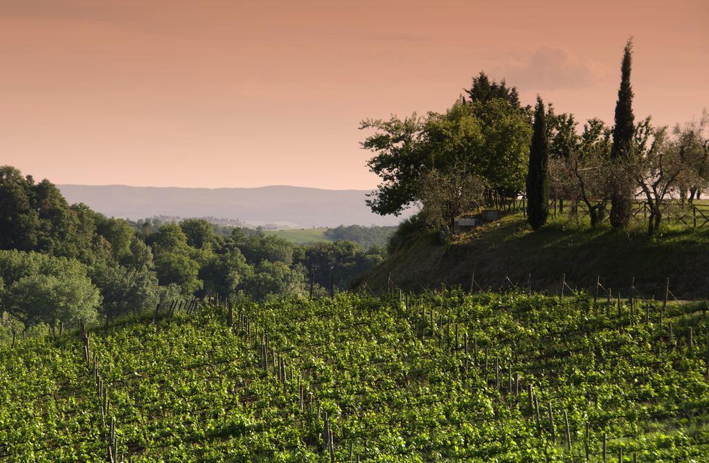 Villa Agriturismo Poggio Bonelli à Castelnuovo Berardenga Extérieur photo