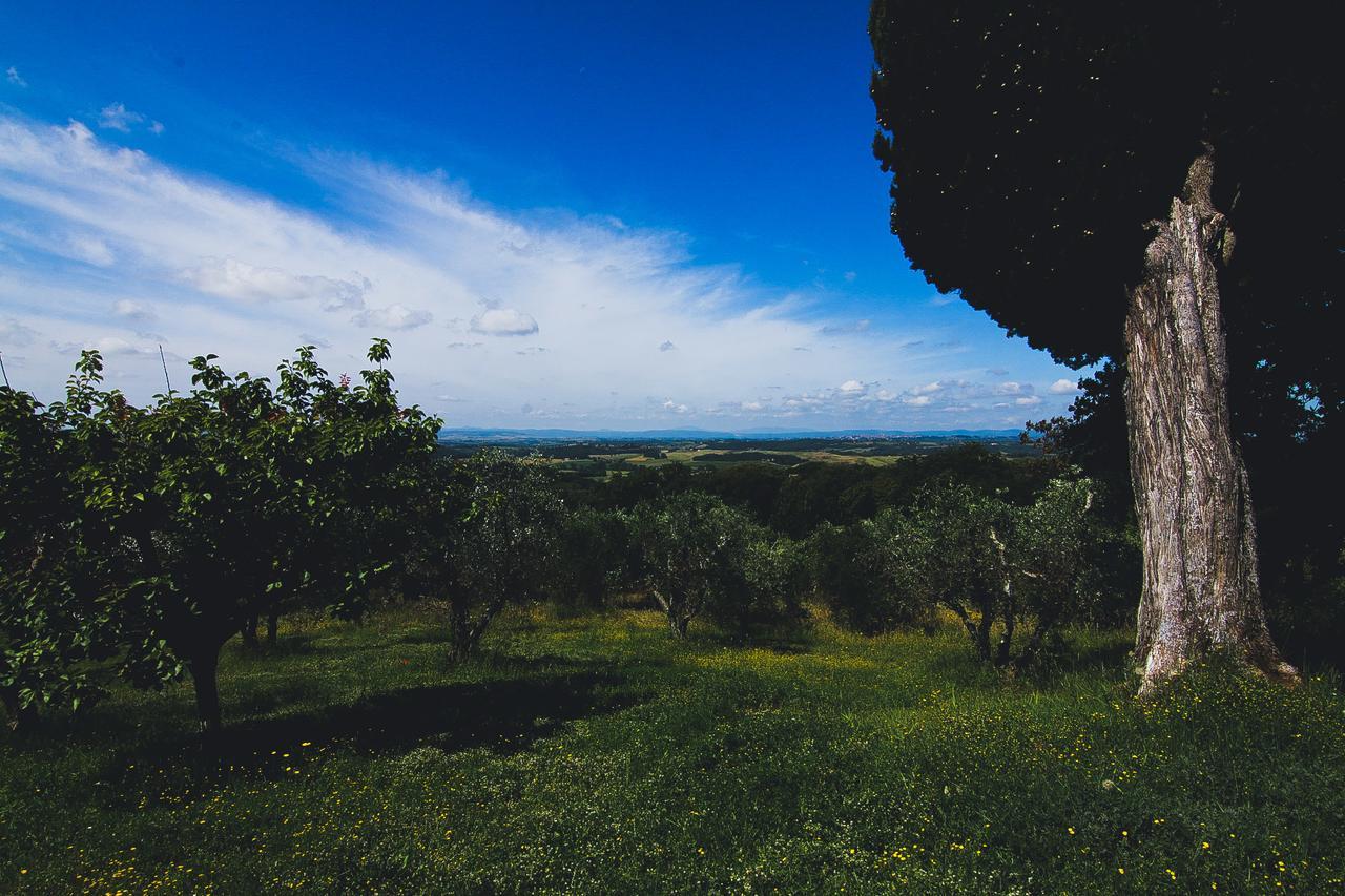 Agriturismo Poggio Bonelli Castelnuovo Berardenga Extérieur photo